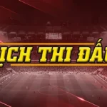 Lịch thi đấu hôm nay 28/1: PSG - Newcastle, Real Madrid - Benfica quyết đấu giành vé thẳng Champions League 1