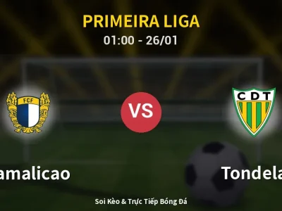 Kết Quả: Famalicao 3-0 Tondela – Highlight & Bàn Thắng | Primeira Liga