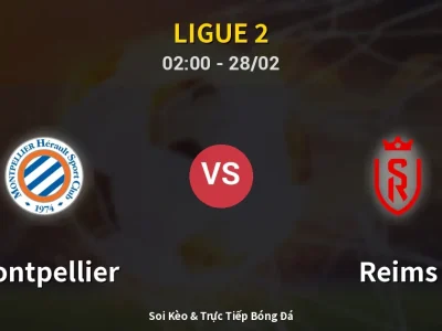 Kết Quả: Montpellier 0-0 Reims – Highlight & Bàn Thắng | Ligue 2