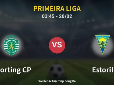 Kết Quả: Sporting CP 3-0 Estoril – Highlight & Bàn Thắng | Primeira Liga