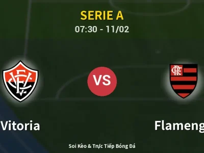 Kết Quả: Vitoria 1-2 Flamengo – Highlight & Bàn Thắng | Serie A