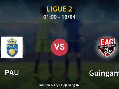 Kết Quả: PAU 2-1 Guingamp – Highlight & Bàn Thắng | Ligue 2