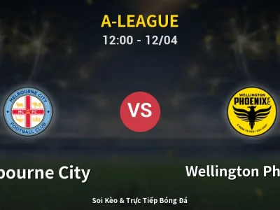 Kết Quả: Melbourne City 2-0 Wellington Phoenix – Highlight & Bàn Thắng | A-League