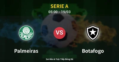 Palmeiras vs Botafogo 19/03